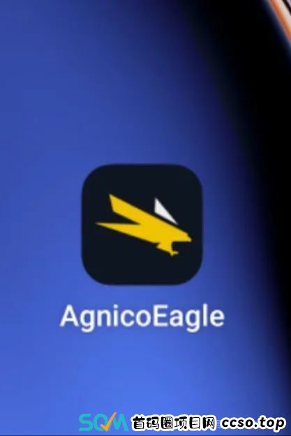 提醒:国际金价暴涨！资金盘的骗局也跟着来了！伊格尔矿业上线，小心投资打水漂！(2)