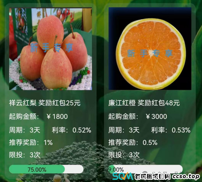 2月暴雷资金盘项目盘点，不要盲目相信虚假宣传！(10)