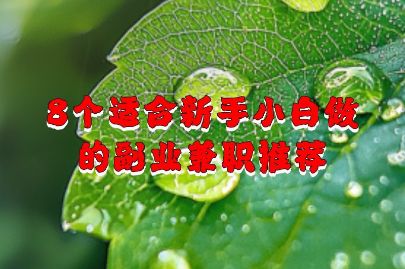 推荐8个适合新手小白做的副业兼职，快来看看哪个戳中你的心！