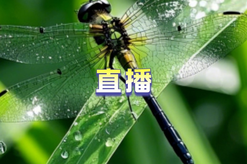 45岁女人能做什么兼职?不妨试试这些兼职 45岁女人能做什么兼职?不妨试试这些兼职