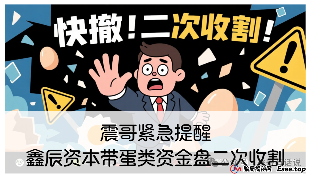 紧急提醒:鑫辰资本带蛋类资金盘二次收割,速避!