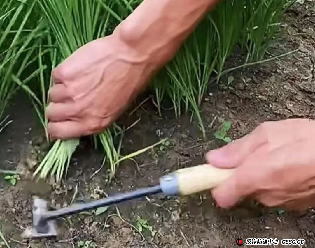 联合旅业涉嫌资金盘:文旅投资外衣下的传销陷阱,注意警惕。 联合旅业涉嫌资金盘:文旅投资外衣下的传销陷阱,注意警惕。