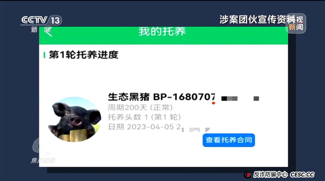 “云养殖”里藏骗局 “云养殖”里藏骗局