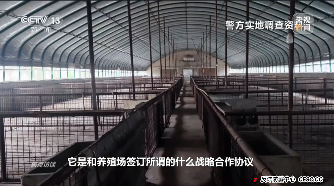 “云养殖”里藏骗局 “云养殖”里藏骗局