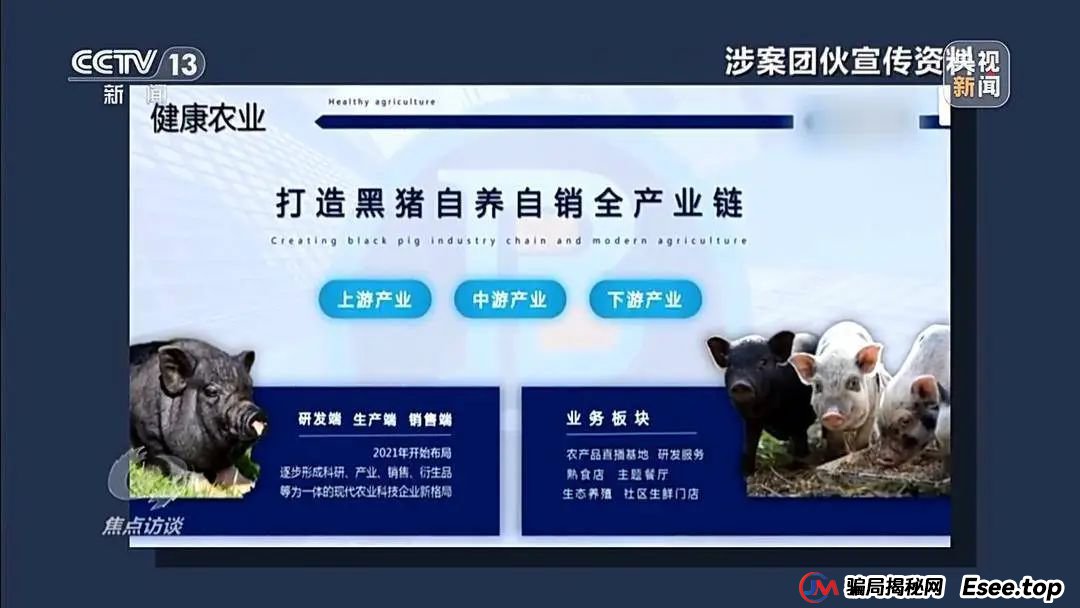 万元认养一头猪，200天就能赚6000元？起底“云养殖”里的骗局