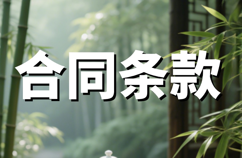 2025年引流推广公司怎么选？给你4个建议！