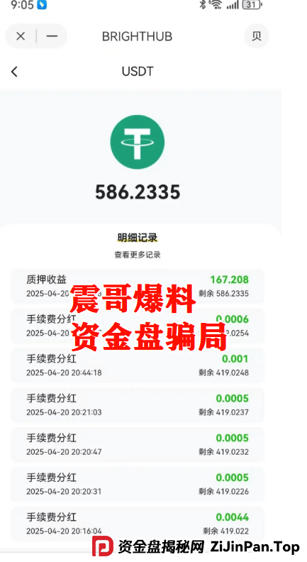 【贝虎金融】资金盘骗局：震哥揭秘高额分红陷阱，高度预警 