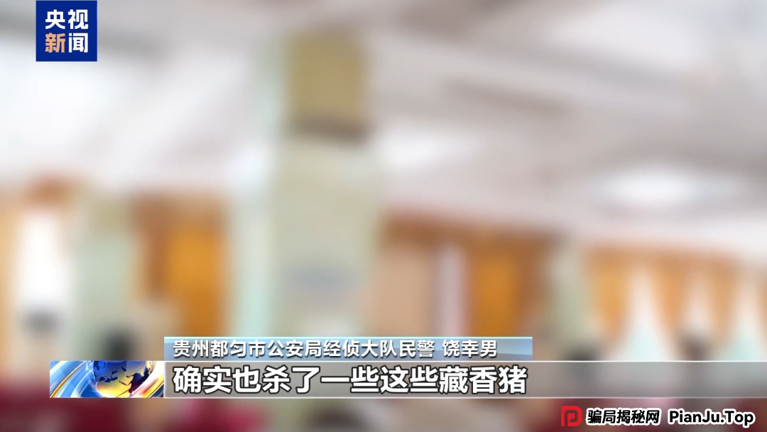 【金融普法】假养猪 真骗局 警惕披着“云养经济”外衣的非法集资 【金融普法】假养猪 真骗局 警惕披着“云养经济”外衣的非法集资