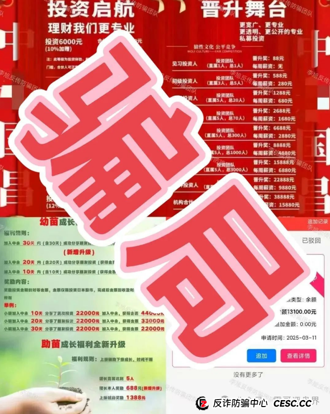 【中永国昌】庞氏骗局大起底！震哥紧急提醒：别当韭菜接盘侠！