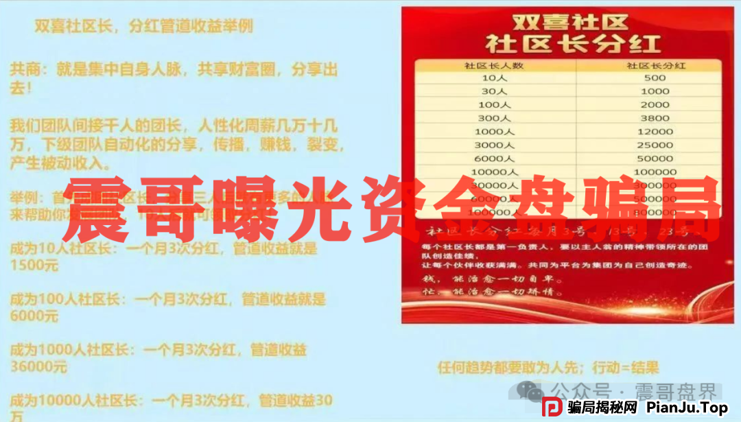双喜社区彩票资金盘骗局！已经单割，即将崩盘跑路