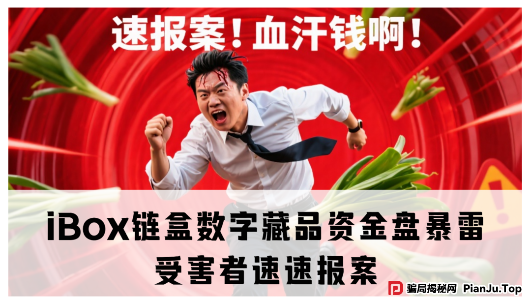 震哥独家起底:iBox链盒数字藏品资金盘暴雷!受害者速速报案,别让骗子逍遥法外!