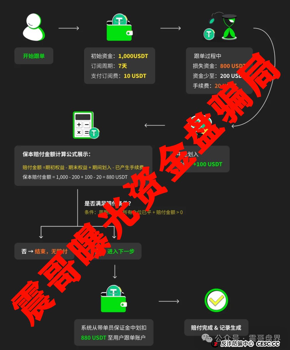 Websea跟单骗局大起底!震哥带你扒光它的套路 Websea跟单骗局大起底!震哥带你扒光它的套路