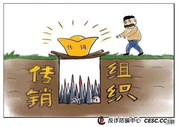 警惕 “兔子外汇保险基金”：量化交易外衣下的资金盘骗局预警