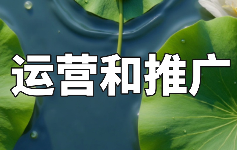 抄书赚米是真的吗？教你3招，抄书赚米日入100+！