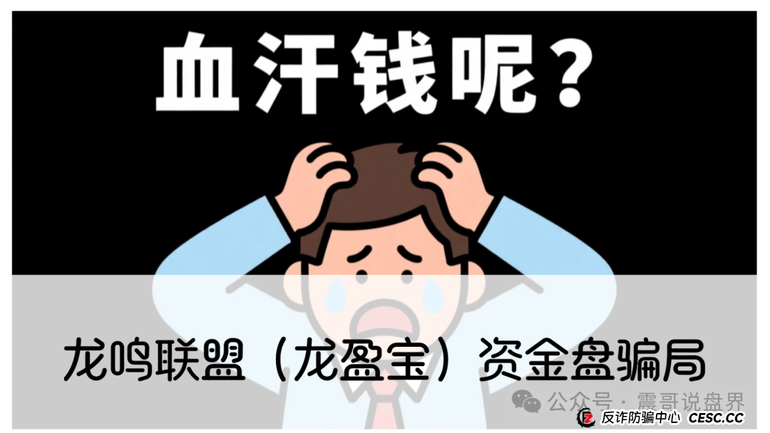 龙鸣联盟(龙盈宝)资金盘骗局,圈钱过亿,高度预警,别被收割