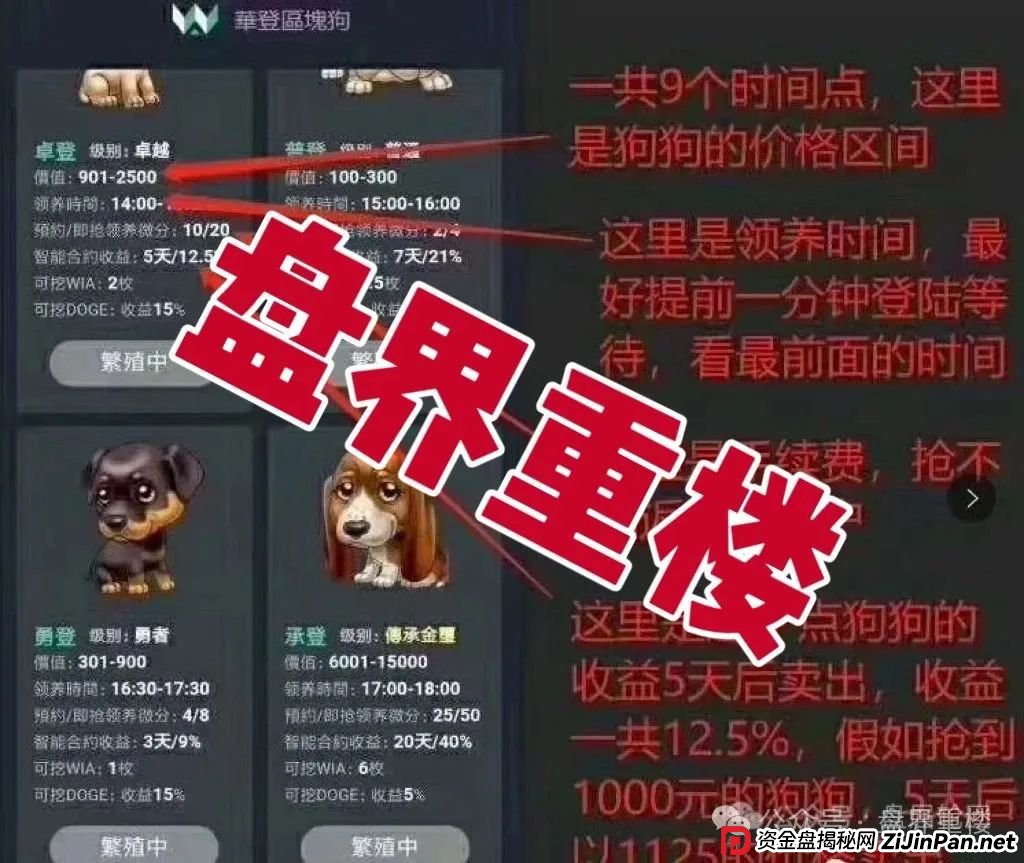 巢音世代抢单类资金盘骗局,操盘手圈钱过亿,即将崩盘跑路! 巢音世代抢单类资金盘骗局,操盘手圈钱过亿,即将崩盘跑路!