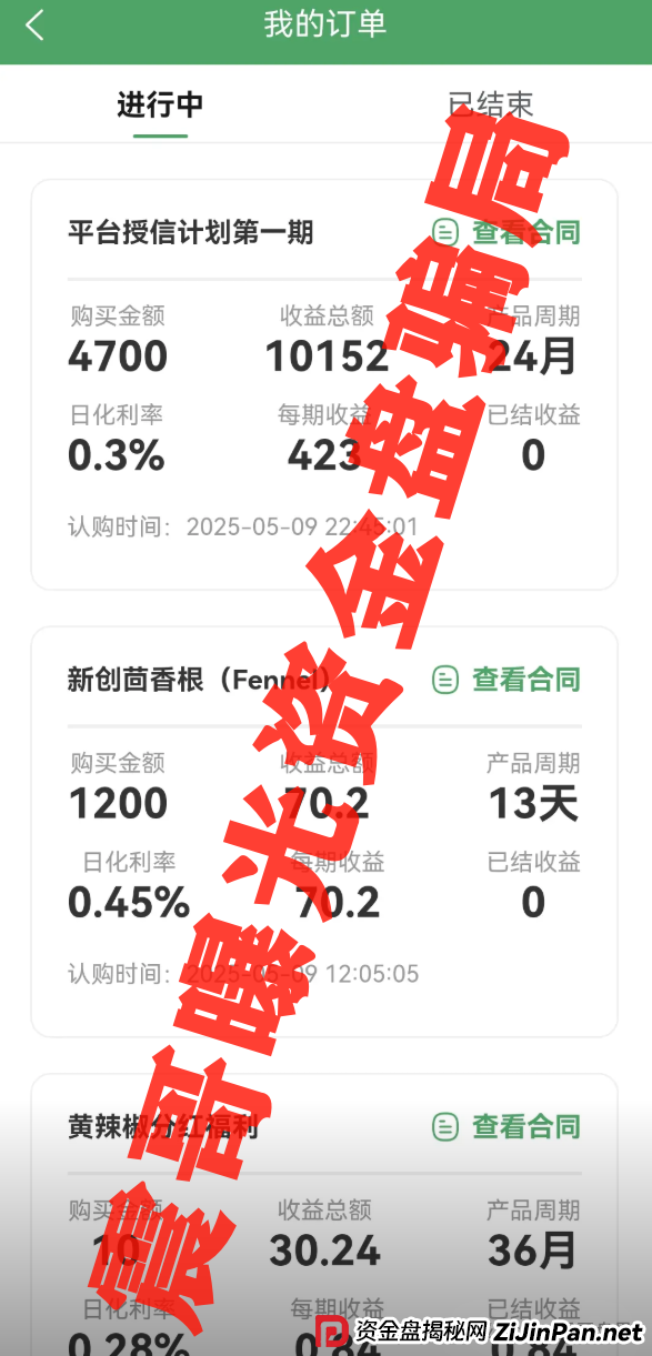 新创人SCEA最新骗局起底！震哥血泪警告：韭菜们快跑！