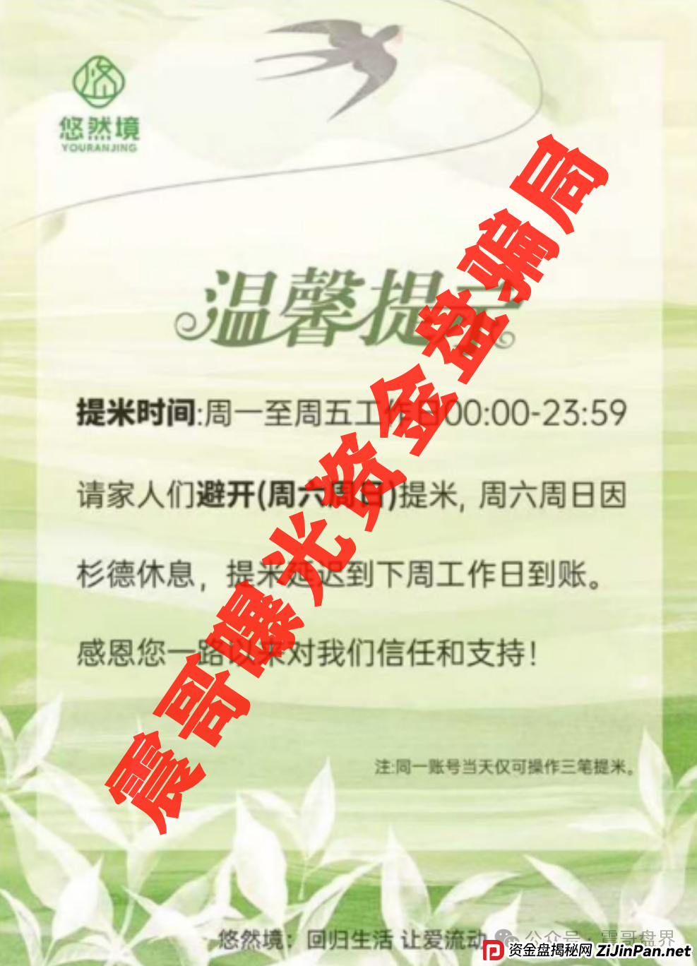 【悠然境暴雷预警】震哥曝提现异常!盘子要翻车? 【悠然境暴雷预警】震哥曝提现异常!盘子要翻车?