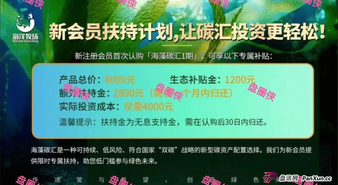 9月23日曝光：最新资金盘骗局《海洋牧场，ARK，olga欧嘉，e充电，CFXH-DAO》随时可能卷钱跑路