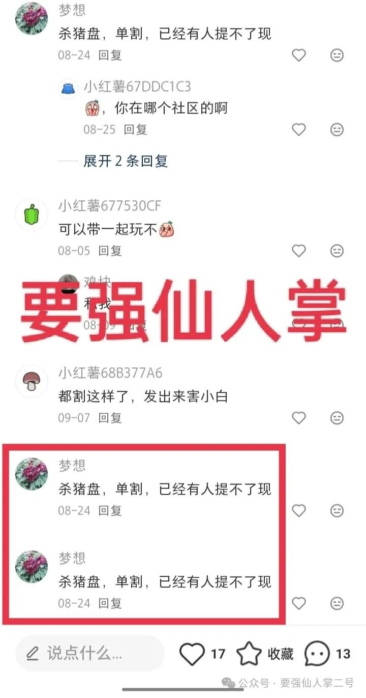 紧急曝光：“睿盛环球Golden Link”连环骗局始末，政府三级预警下的收割狂欢！