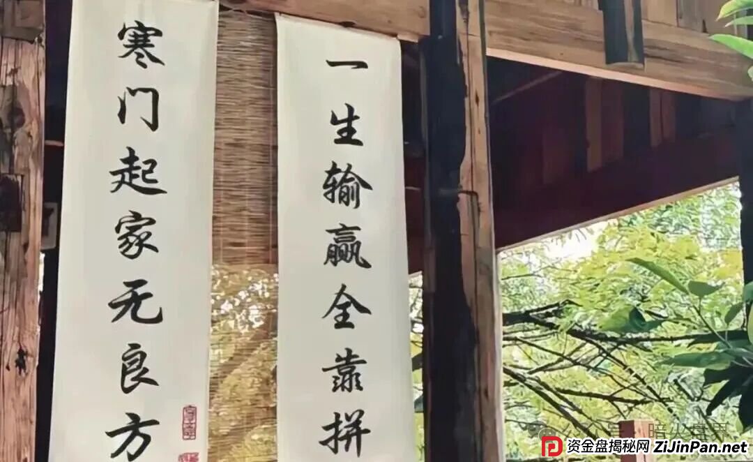 ARK代币区块链，豪华包装下的空壳骗局，最漂亮的故事，往往是最贵的坑！