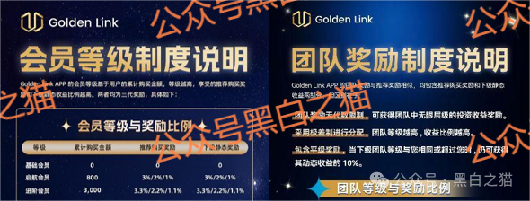 资金盘｜电诈团伙伪冒“金链资本”项目，非法敛财，揭秘国内洗钱通道......