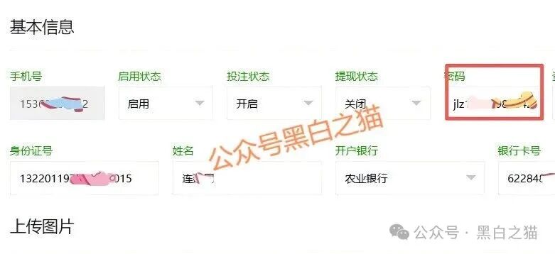 资金盘｜电诈团伙伪冒“金链资本”项目，非法敛财，揭秘国内洗钱通道......