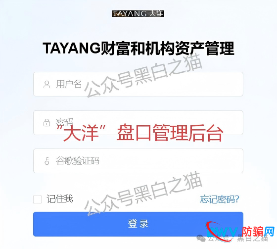 资金盘｜套牌“大洋”做非法项目，漏洞百出陷阱多，随时崩盘请远离......