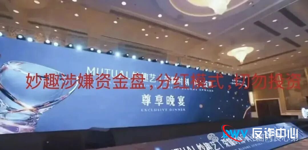 老王深度扒皮：“Mutual妙趣艺”的“十大死穴”，每一个都指向崩盘！