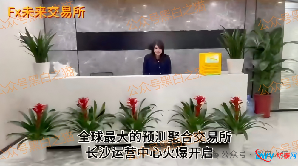 起底FutureX未来交易所骗局：技术外包、国内服务器、无任何合规牌照